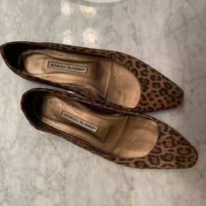 Manolo Blahnik leopard flats